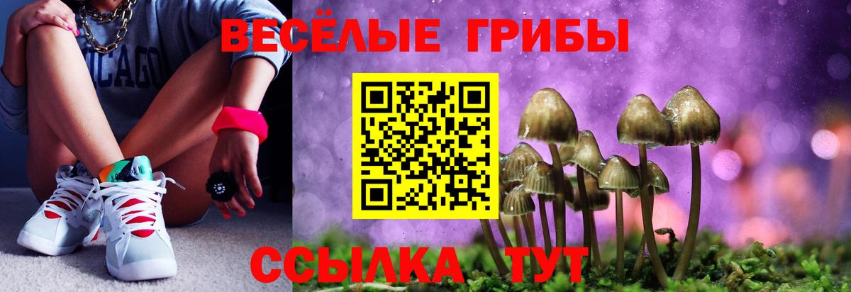 Галлюциногенные грибы MAGIC MUSHROOMS Сертолово